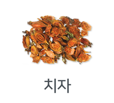 치자