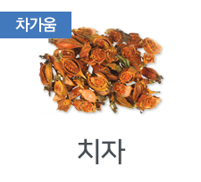 치자