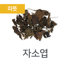 자소엽