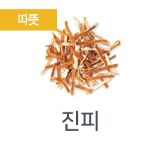 진피