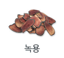 녹용