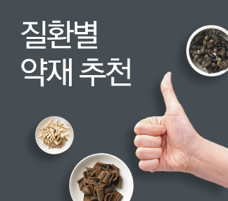질환별 약재 추천