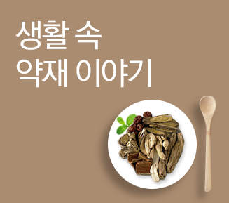 생활 속 약재이야기
